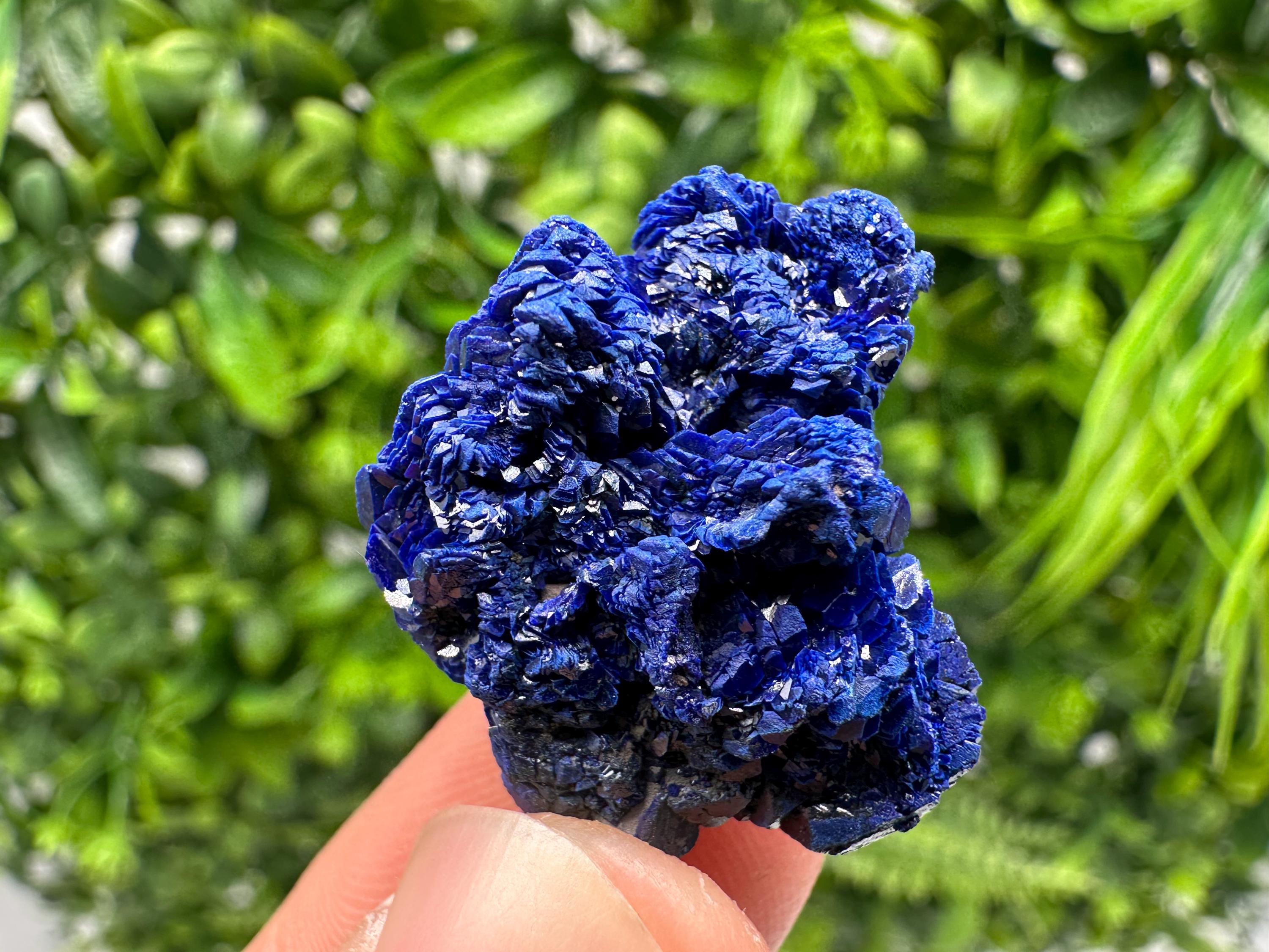 Crystallized Azurite-Kerrouchen,Morocco-Blue Azurite Specimen-High Quality Blue Azurite-Azurite Mineral Specimen, gemmy,lustrous of Azurite