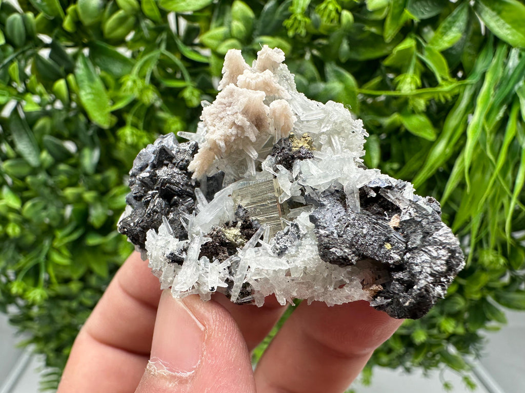 Golden Pyrite,Sphalerite from 9th September mine,Madan,Bulgaria,natural,collectible mineral specimen,home decor crystal,Pyrite cluster,