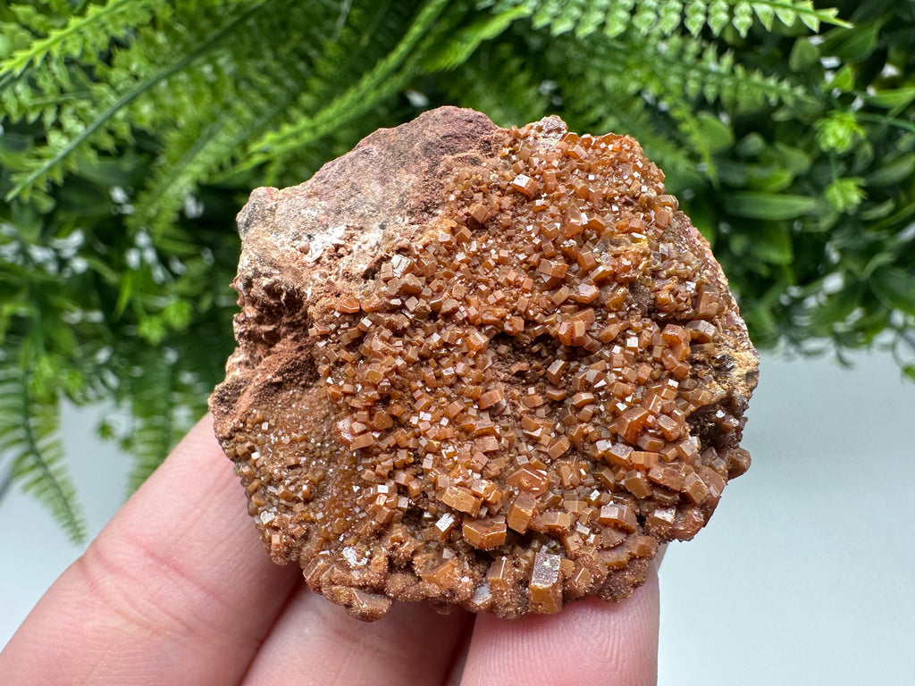 Red Vanadinite on Matrix from Marocco,crystal minerals Speciment cluster Vanadinite crystal Vanadinite Geology Vanadinite cluster minerals