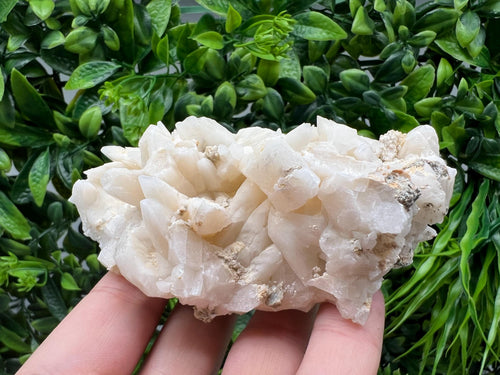 Calcite on Green Quartz: Djurcovo Mine, Bulgaria Healing Crystal