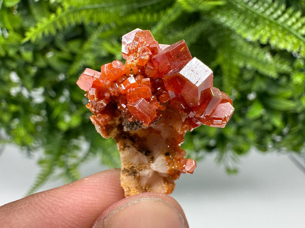 Red Vanadinite on Barite from Marocco,crystal minerals Speciment cluster Vanadinite crystal Vanadinite Geology Vanadinite cluster minerals