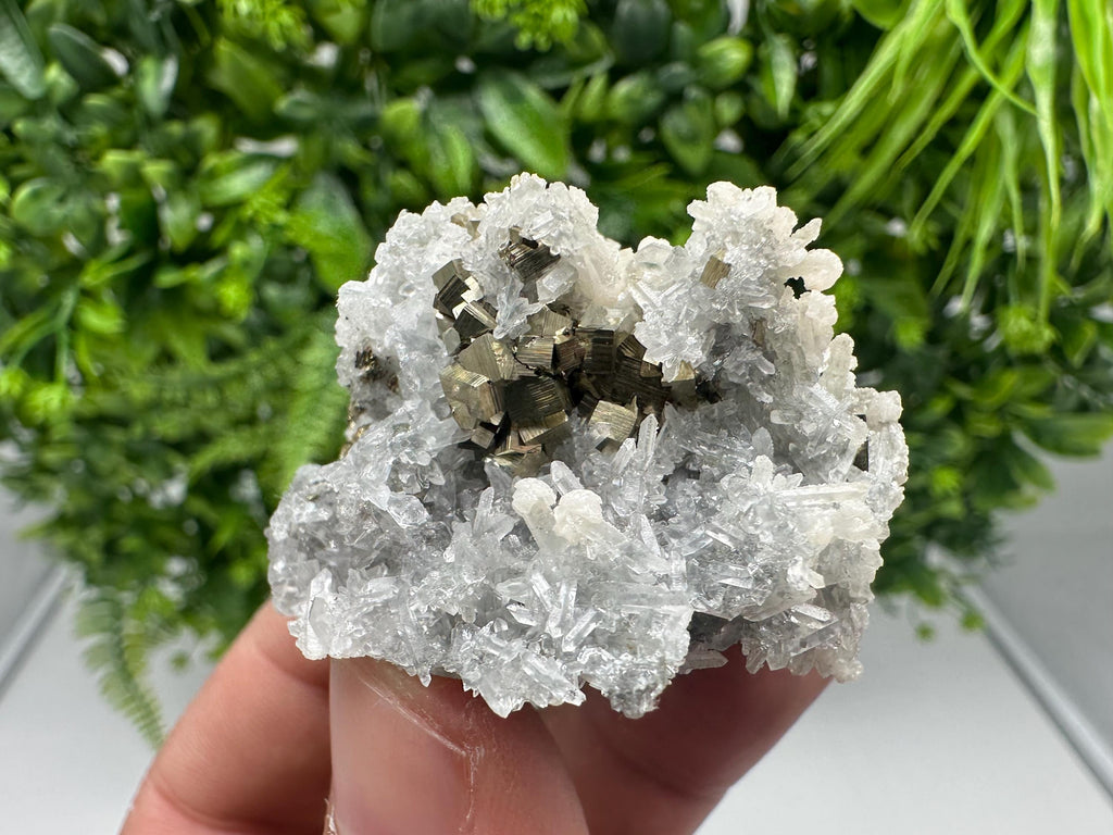 Pyrite on Green Quartz Mineral Specimen, Borieva Mine Bulgaria