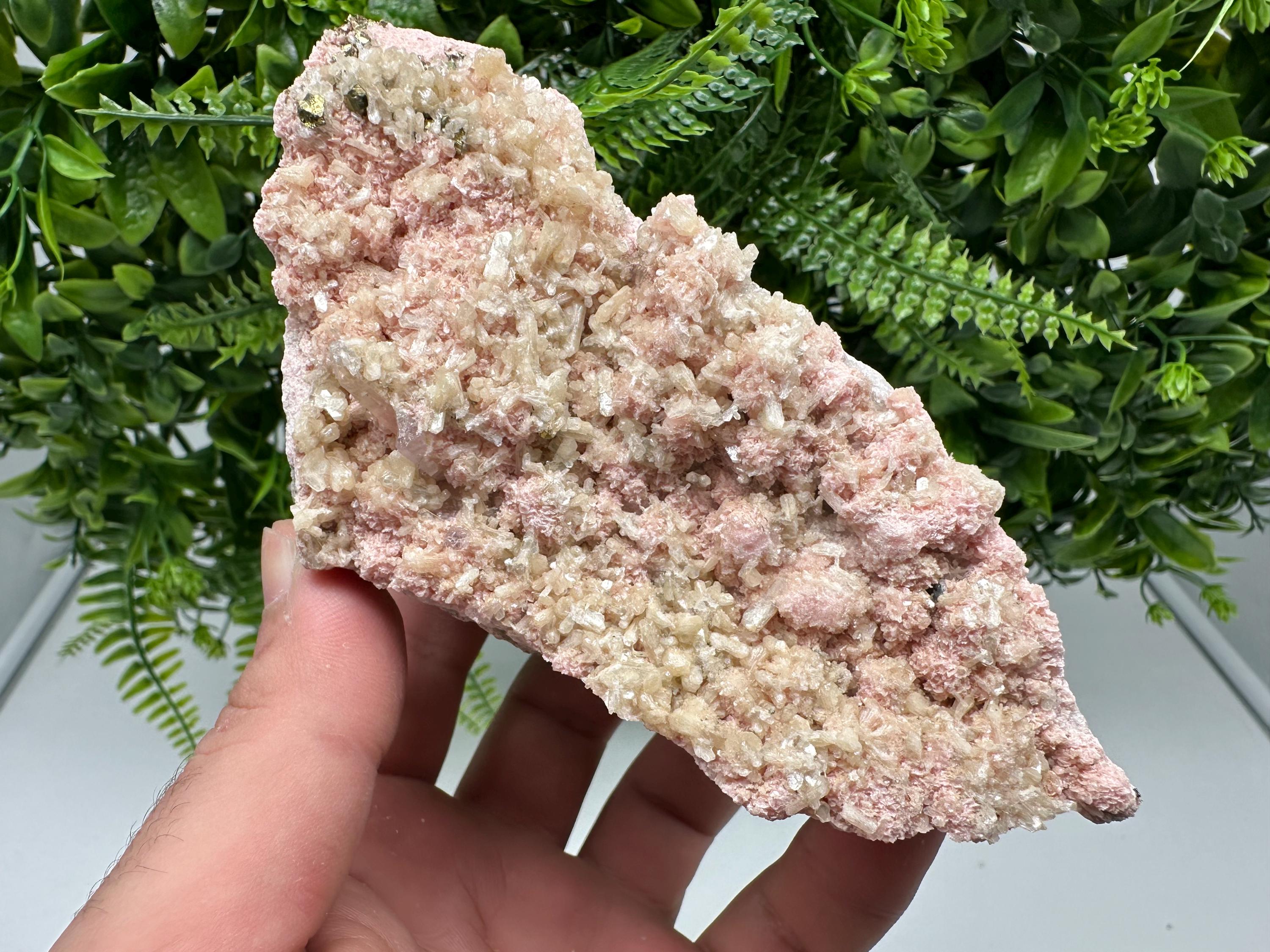 Pink Rhodochrosite Crystal, Starnica Mine, Bulgaria, Mineral Decor