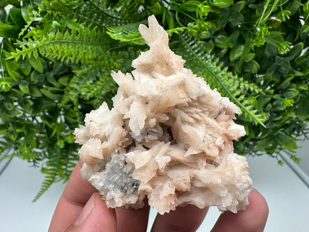 Calcite on Green Quartz: Djurcovo Mine, Bulgaria Crystal