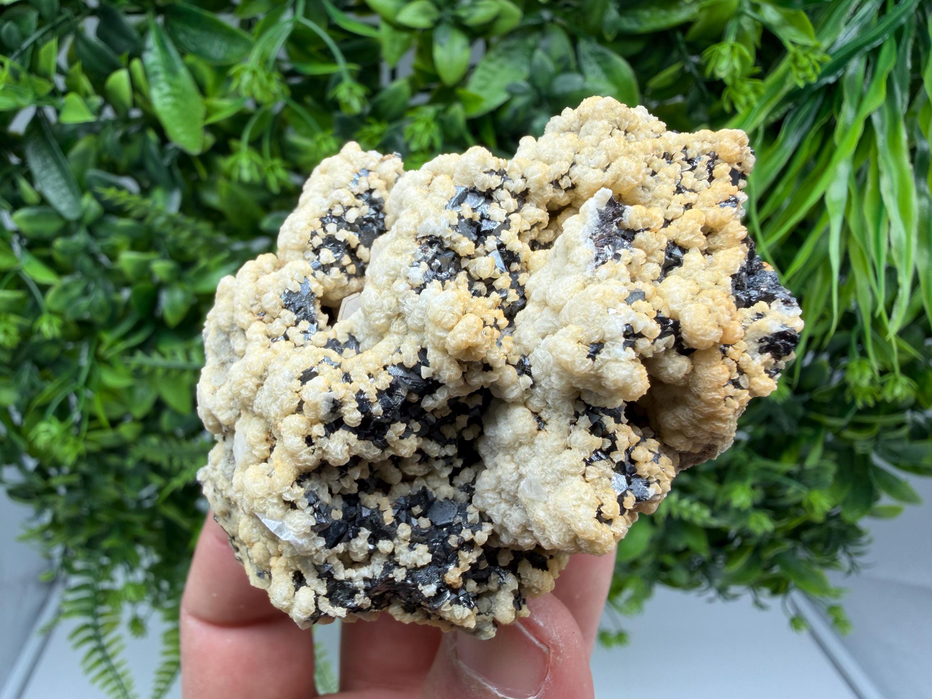 Aesthetic Sphalerite,Dolomite Krushev dol  mine Madan Bulgaria natural minerals souvenir crystal gift home decor stone rock