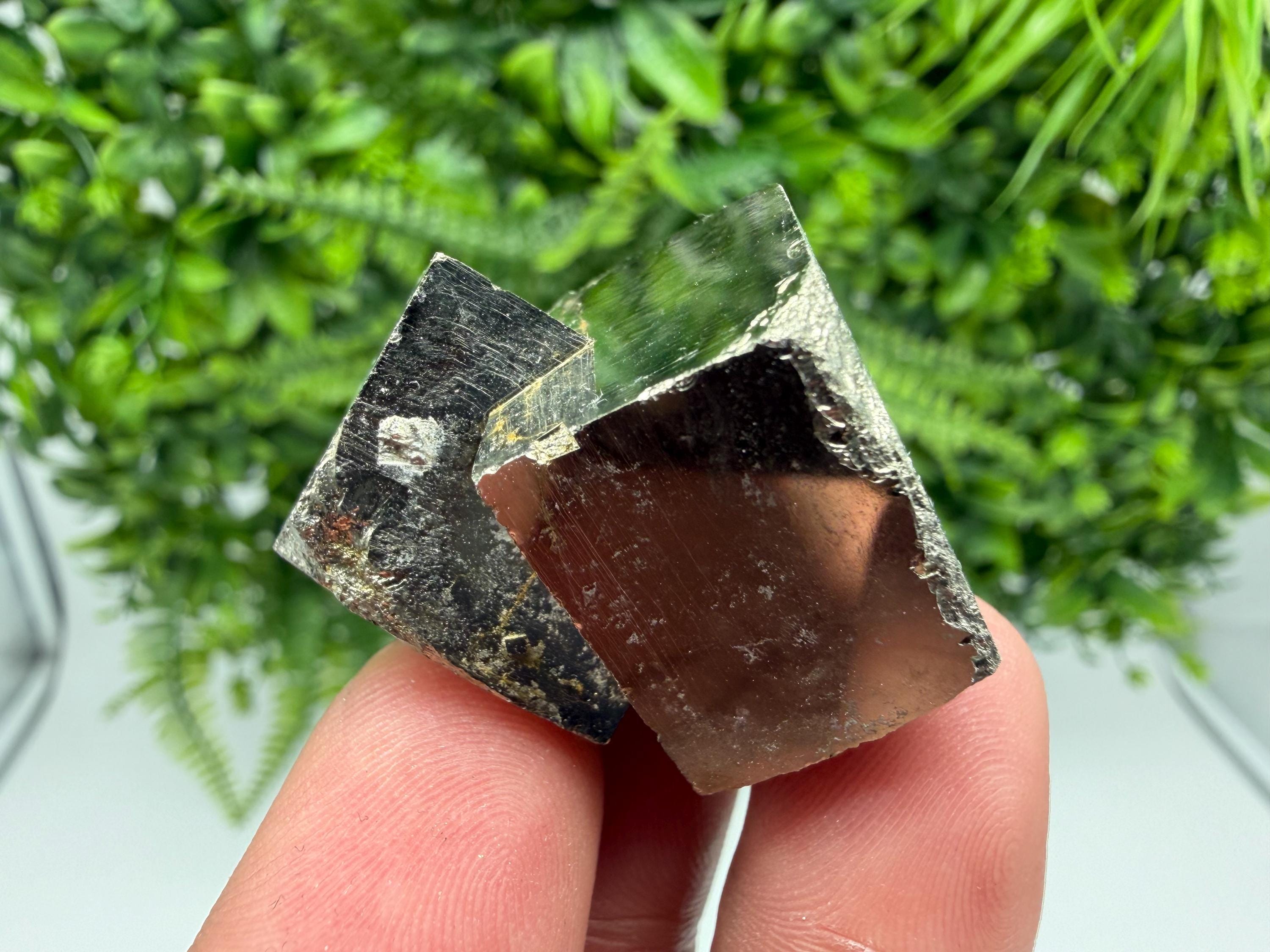 Interjoined,Pyrite,Gold,Cube PYRITE, Navajun, La Rioja, SPAIN,natural Pyrite shiny Pyrite home decor stone gift minerals,collectibls