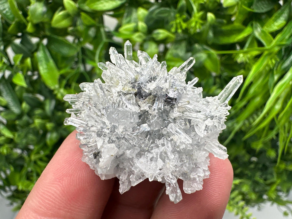 Chlorite Quartz Crystal Cluster - Borieva Mine, Bulgaria