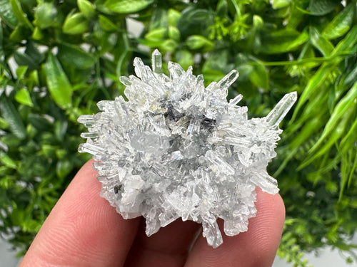 Chlorite Quartz Crystal Cluster - Borieva Mine, Bulgaria