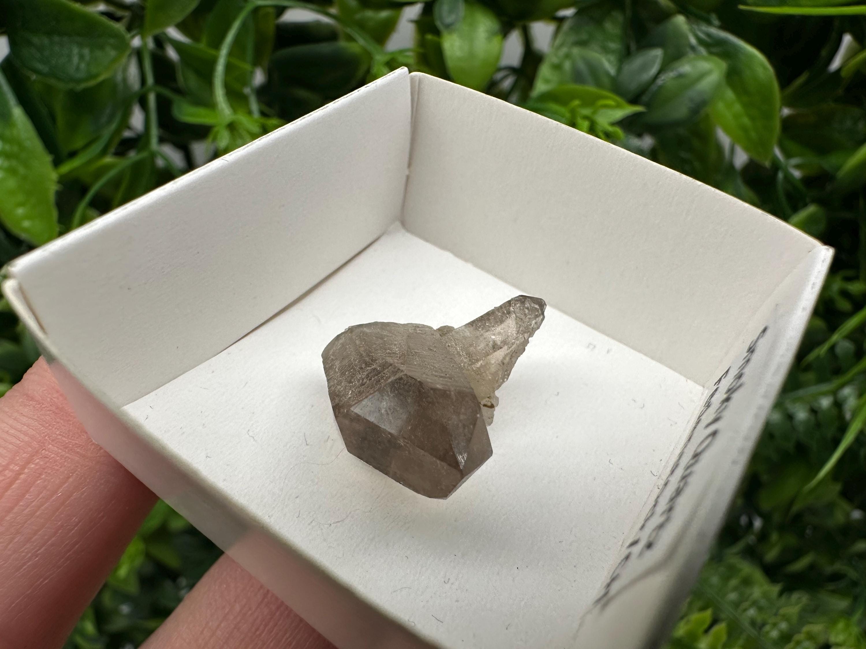 Rare Smoky Quartz Point, Fedenstock Switzerland Mineral Specimen