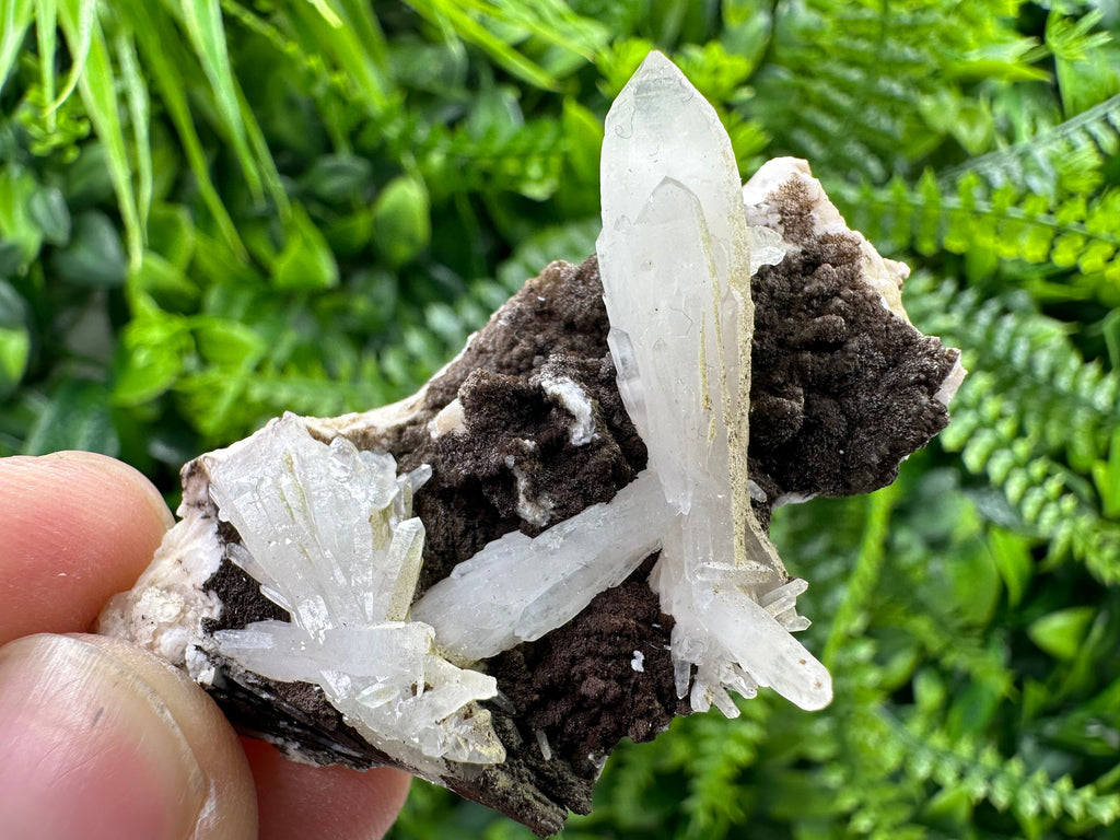 Quartz with Chlorite on Rhodochrosite and Siderite