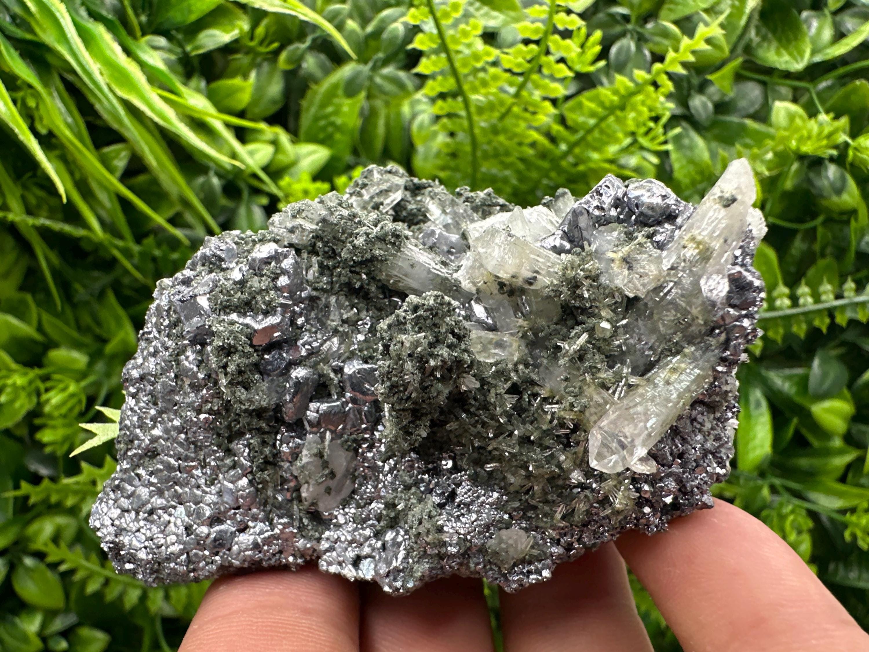 Galena with Quartz and Chlorite, Bulgaria Mineral Specimen