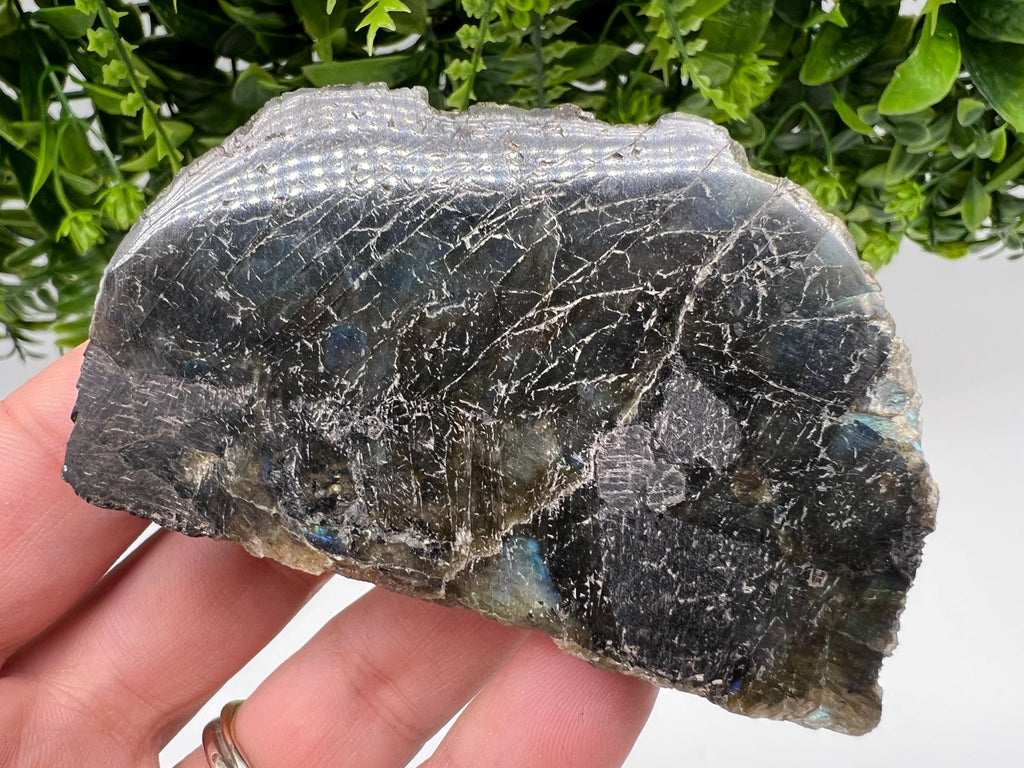 Polished Labradorite Slab: Multifire Crystal Decor - 118 Grams