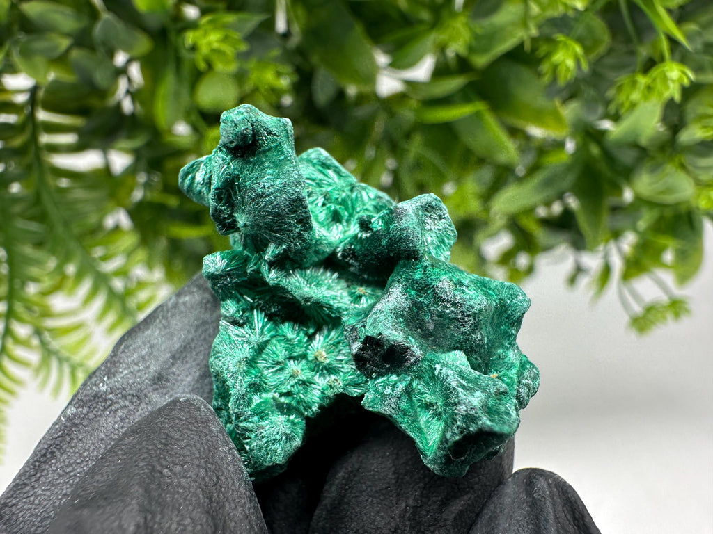 Malachite Crystal from Congo,Minerals,Crystals from Congo,Green Malachite, Malachite,Natural Malachite,Malachite Stone,Chakra, Specimens