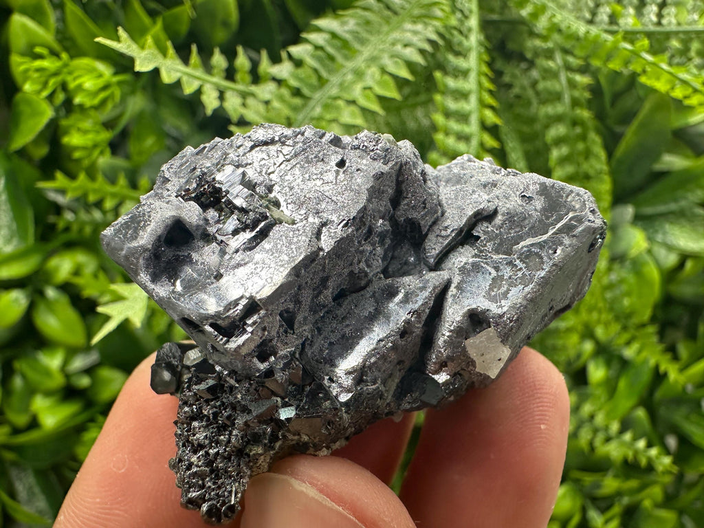 Galena with Black Sphalerite, Natural Minerals Souvenir from Borieva Bulgaria