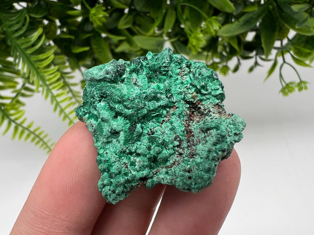 Malachite Crystal from Congo,Minerals,Crystals from Congo,Green Malachite, Malachite,Natural Malachite,Malachite Stone,Chakra, Specimens