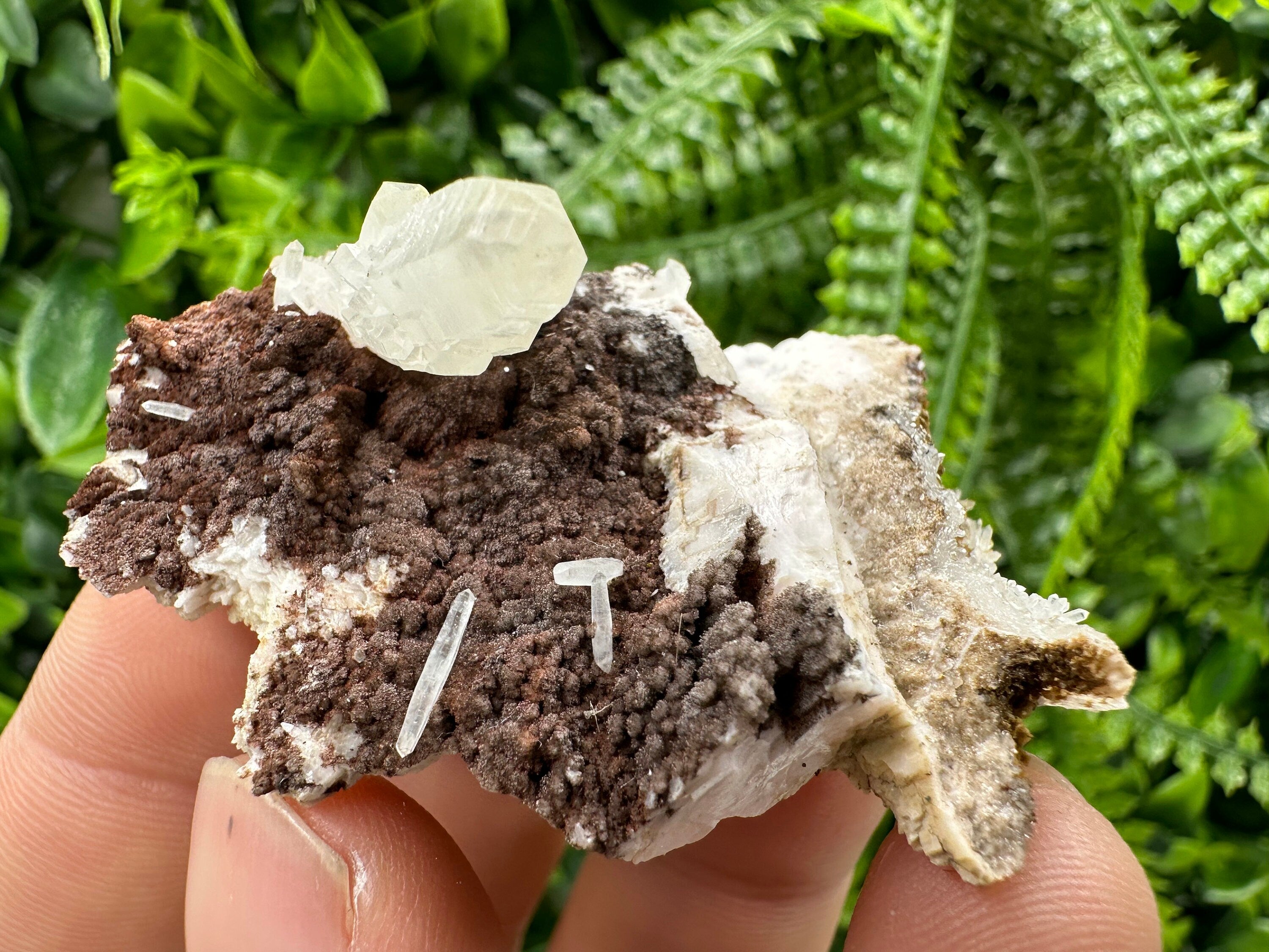 Quartz with Chlorite on Rhodochrosite and Siderite Mineral Specimen