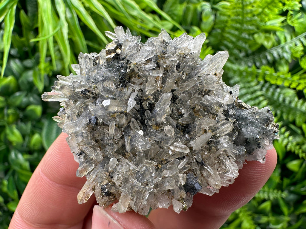 Pyrite Galena on Green Quartz, Chlorite Mineral Specimen, Bulgaria