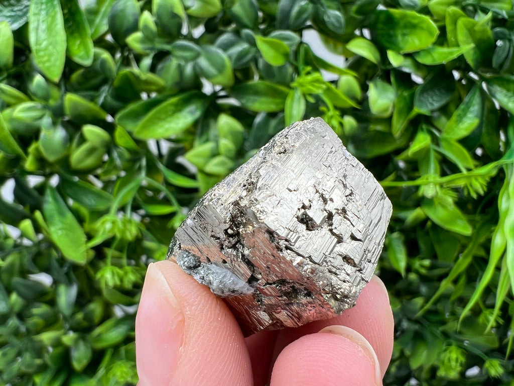 Rare Crystallized Pyrite Cluster, Borieva Mine, Bulgaria