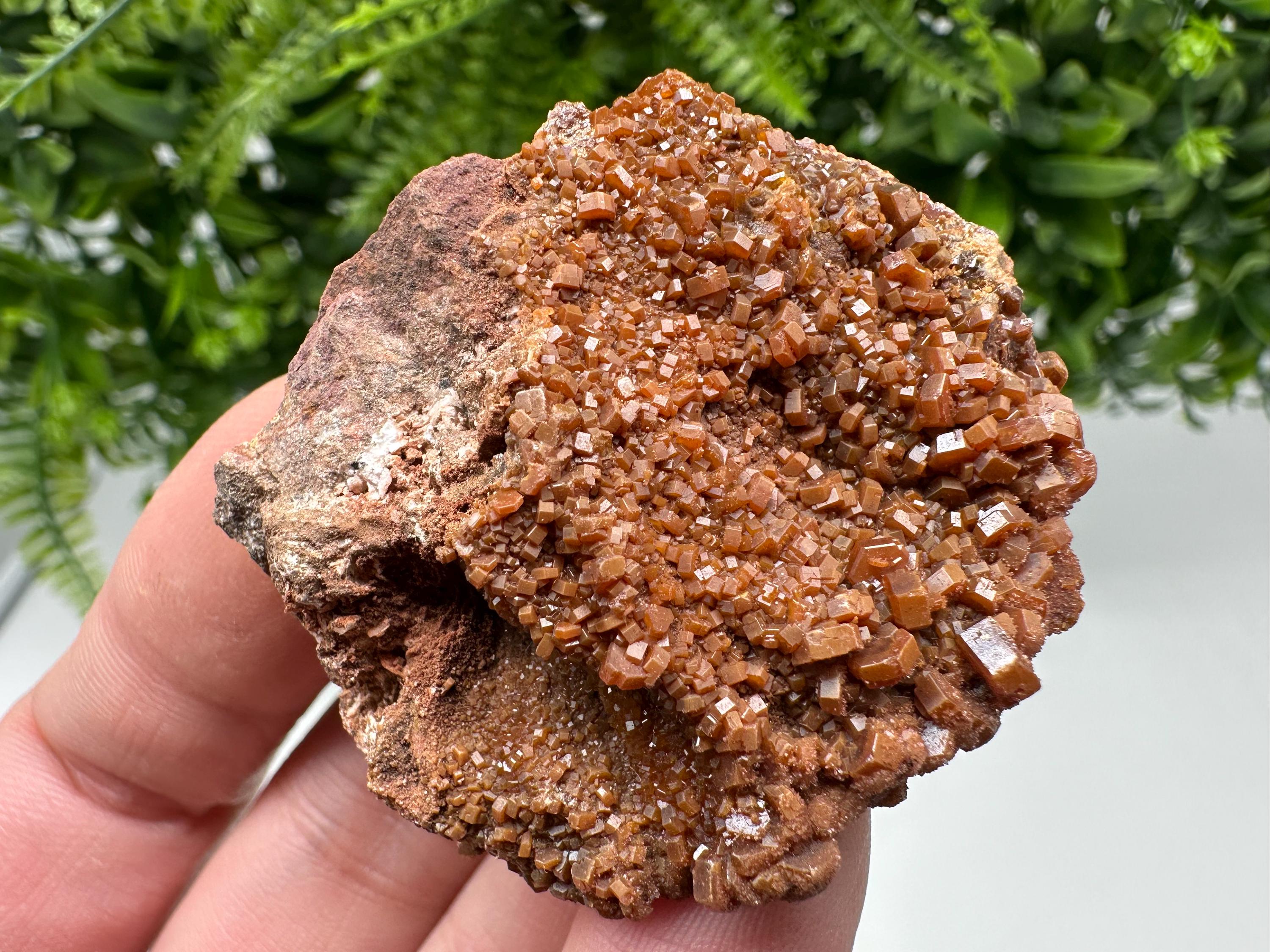 Red Vanadinite on Matrix from Marocco,crystal minerals Speciment cluster Vanadinite crystal Vanadinite Geology Vanadinite cluster minerals