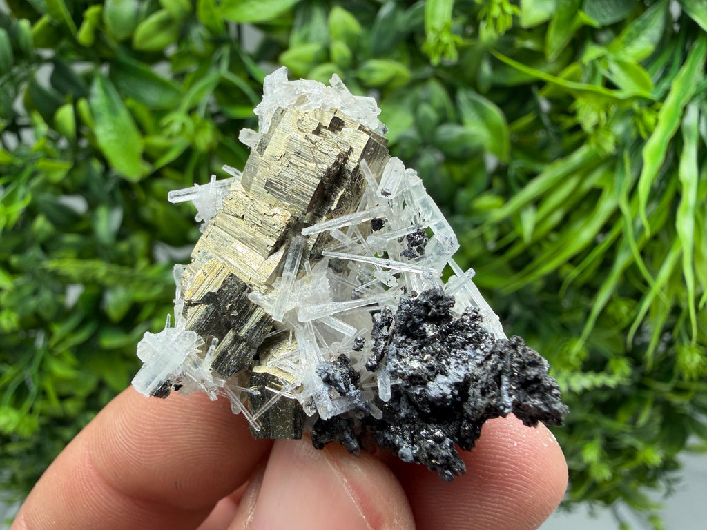 Rainbow Pyrite on Quartz with Oxide, Borieva Bulgaria Mineral Specimen