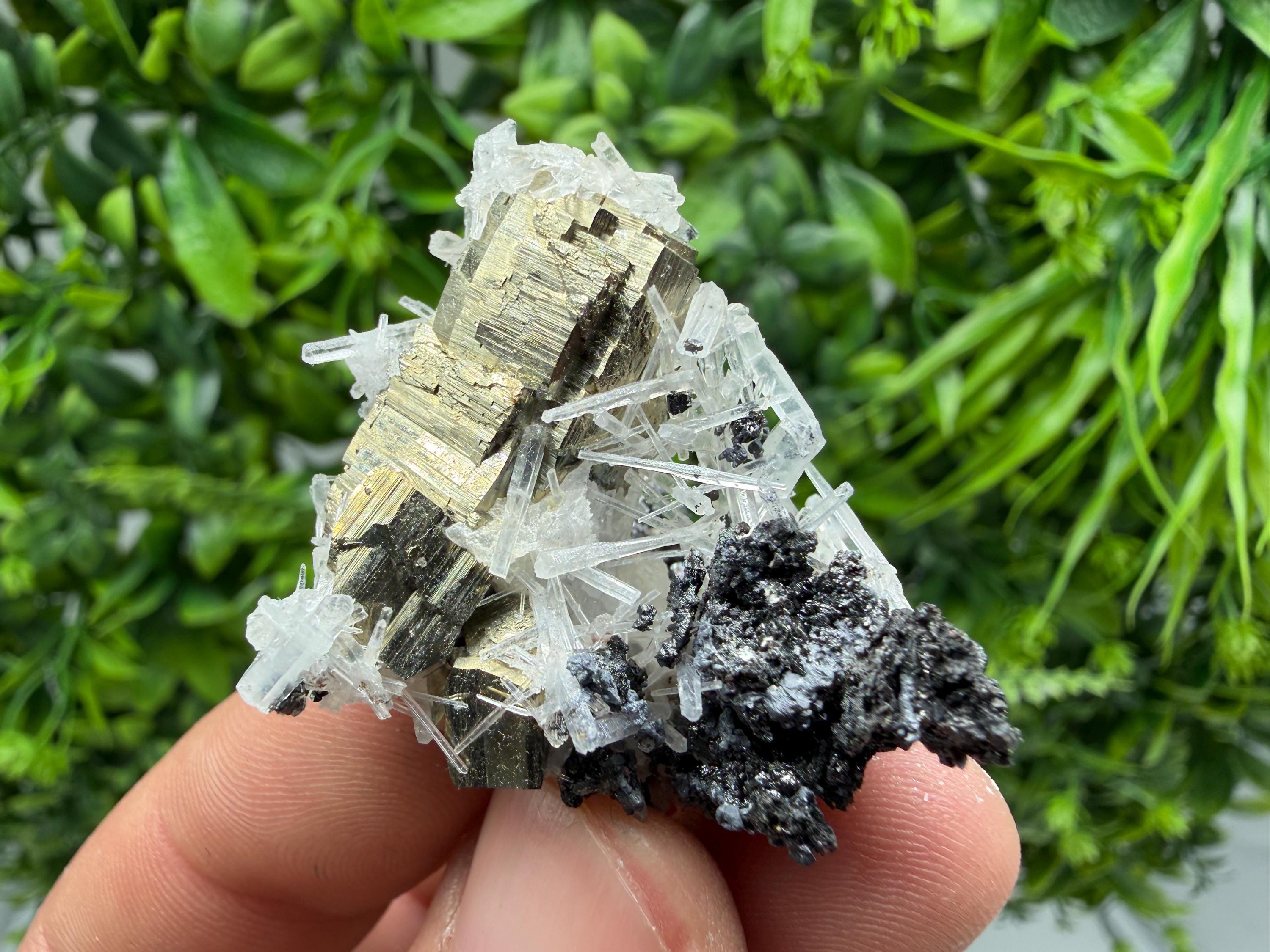Rainbow Pyrite on Quartz with Oxide, Borieva Bulgaria Mineral Specimen