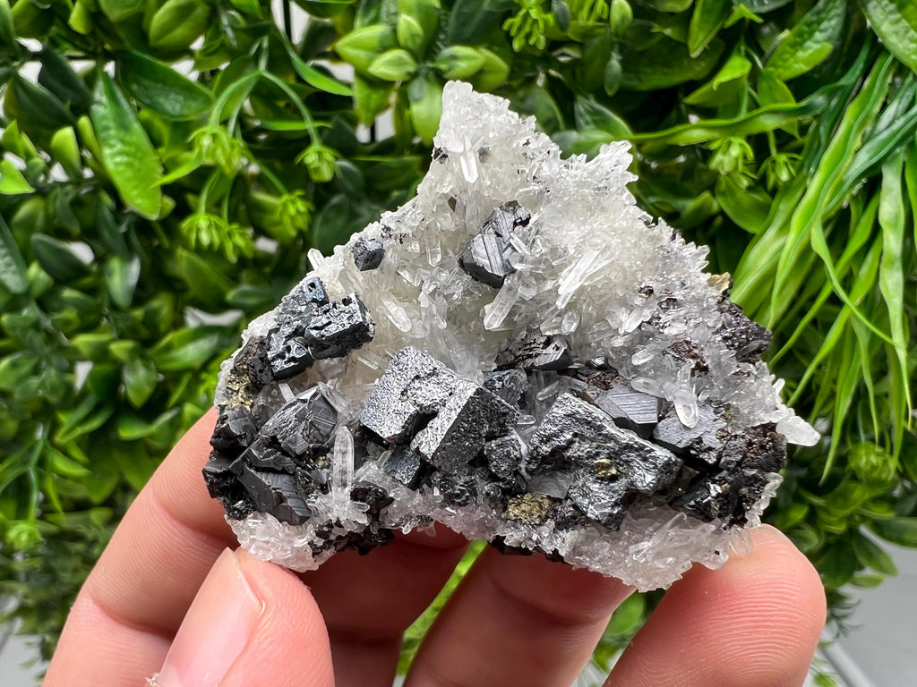 Aesthetic Natural shiny Galena whit Siderite and Quartz from 9 th September mine,Bulgaria,collection specimen,rare galena,Galena cluster