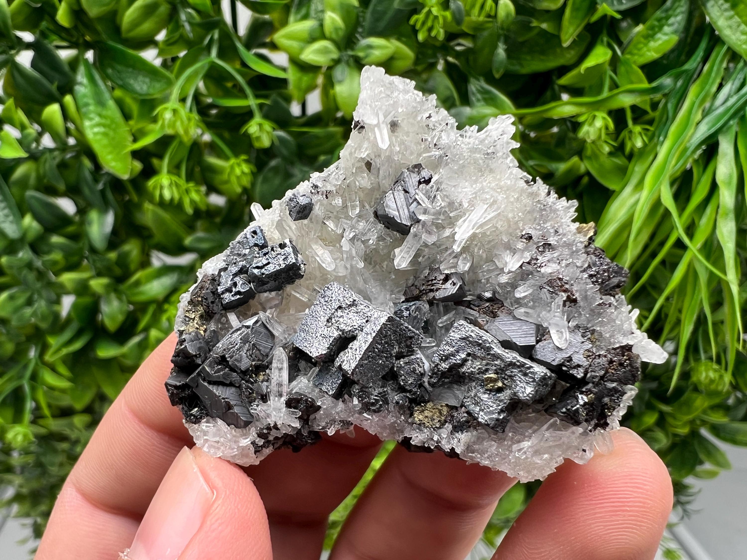 Aesthetic Natural shiny Galena whit Siderite and Quartz from 9 th September mine,Bulgaria,collection specimen,rare galena,Galena cluster