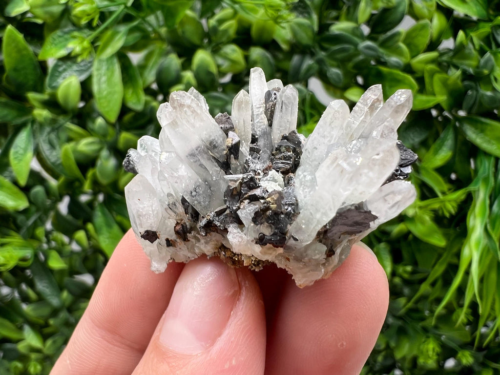 Transparent Quartz,Chlorite,Chalcopyrite Matrix,From Borieva mine,Madan,Bulgaria,Quartz,Quartz crystal,mineral specimen,collection quartz
