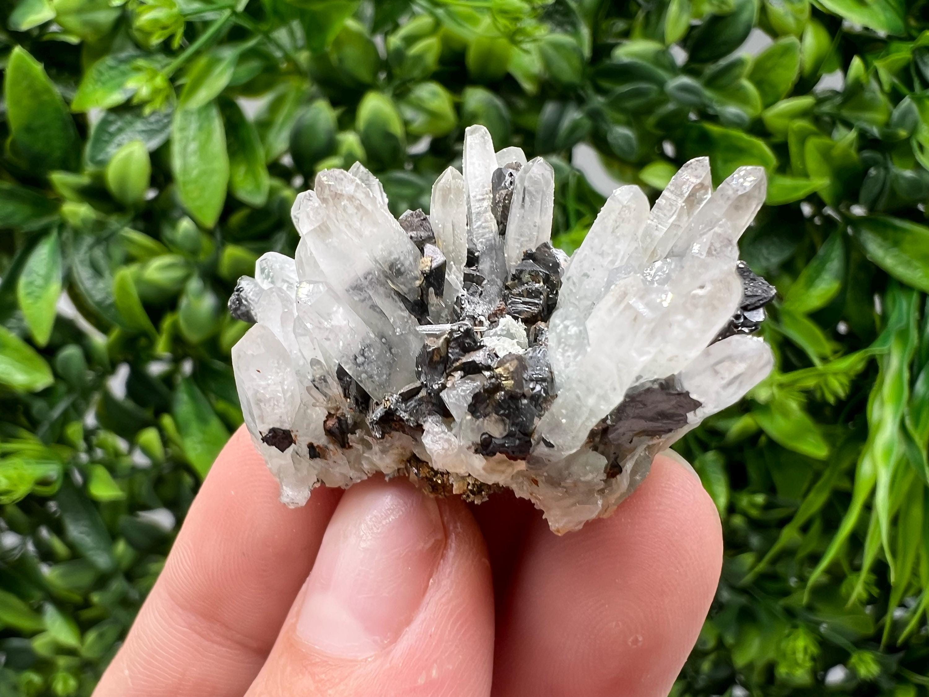 Transparent Quartz,Chlorite,Chalcopyrite Matrix,From Borieva mine,Madan,Bulgaria,Quartz,Quartz crystal,mineral specimen,collection quartz