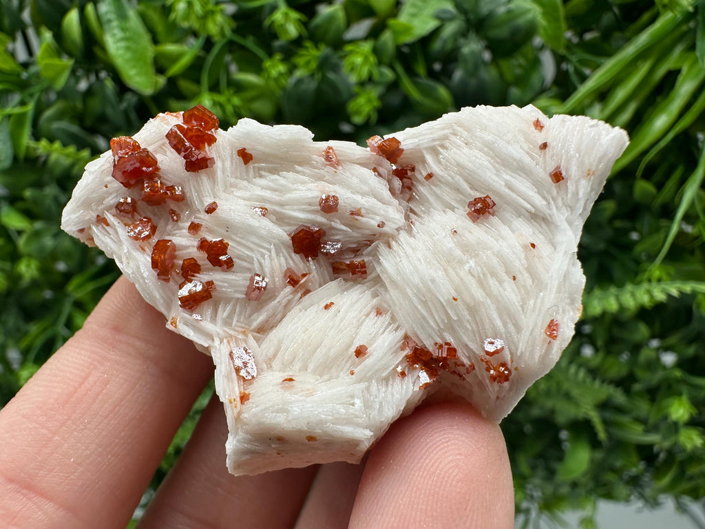Red Vanadinite on Barite Cluster, Morocco Mineral Specimen
