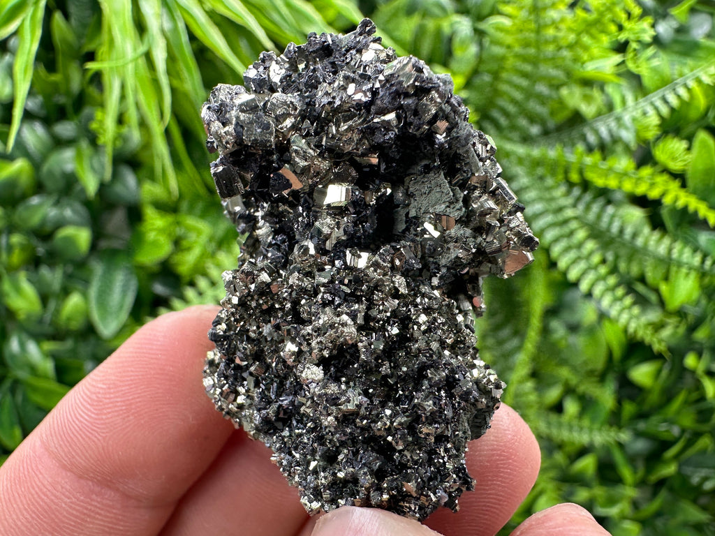 Pyrite on Quartz Needles: Borieva Mine Bulgaria Crystal Decor