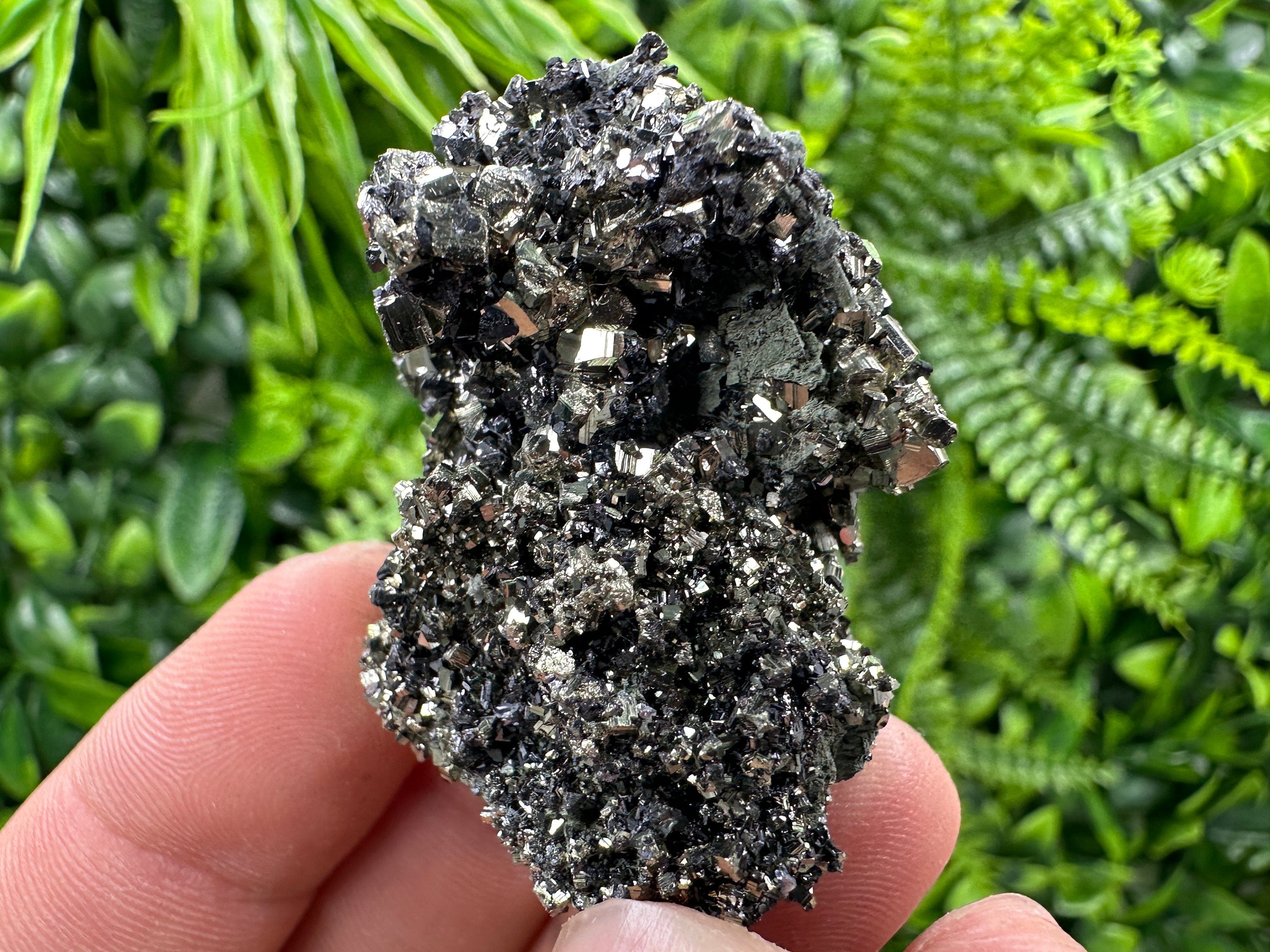 Pyrite on Quartz Needles: Borieva Mine Bulgaria Crystal Decor
