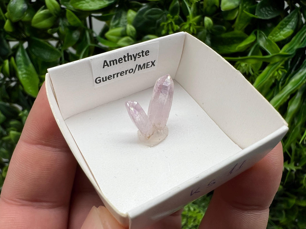 Mexican Amethyst Specimen: Crystal Collector Mineral (20mm)
