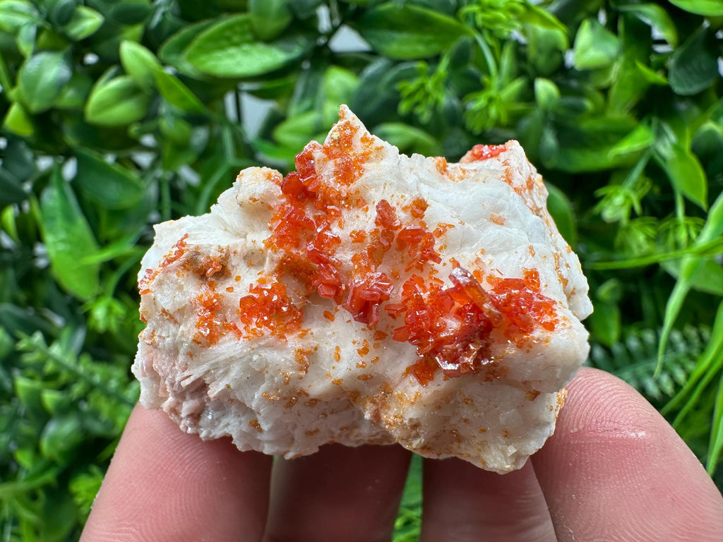 Red Vanadinite Crystal on Barite, Morocco Mineral Specimen