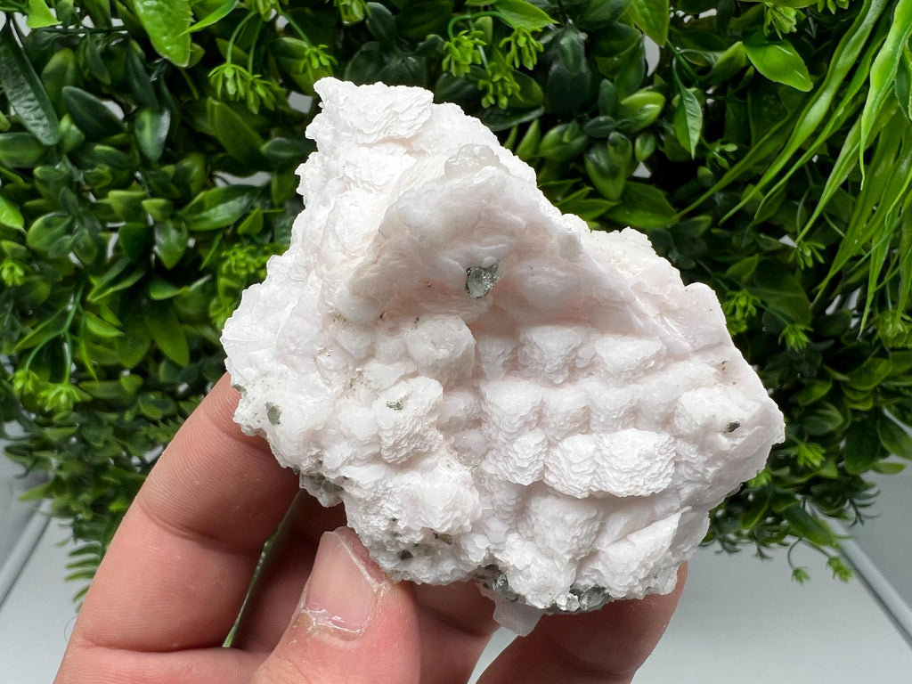 Mangano Calcite with Galena, Borieva Mine, Bulgaria