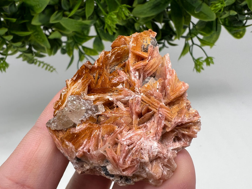Wonderful Baryte with Cerussite on Galena from Morocco,Crystal, Mineral,Specimen,Cluster,Crystals,Barite Crystal,Cerussite Crystal,Specimen