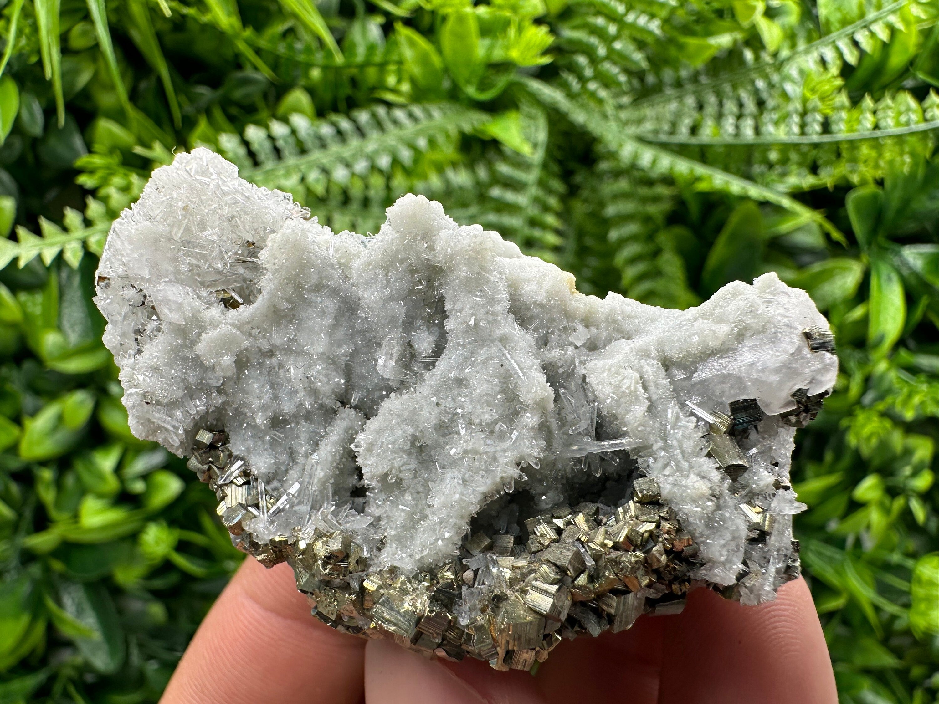 Pyrite on Quartz: Borieva Mine Crystal Home Decor