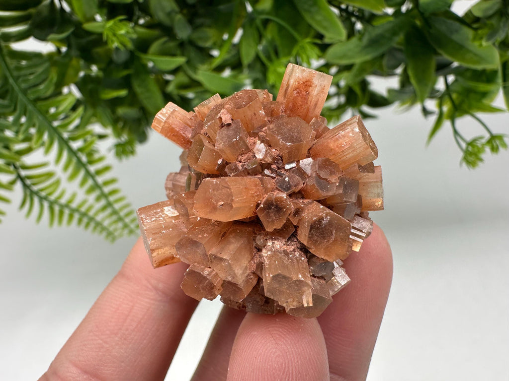 Aragonite Sputnik Cluster: Raw Moroccan Crystal Stone, Home Decor