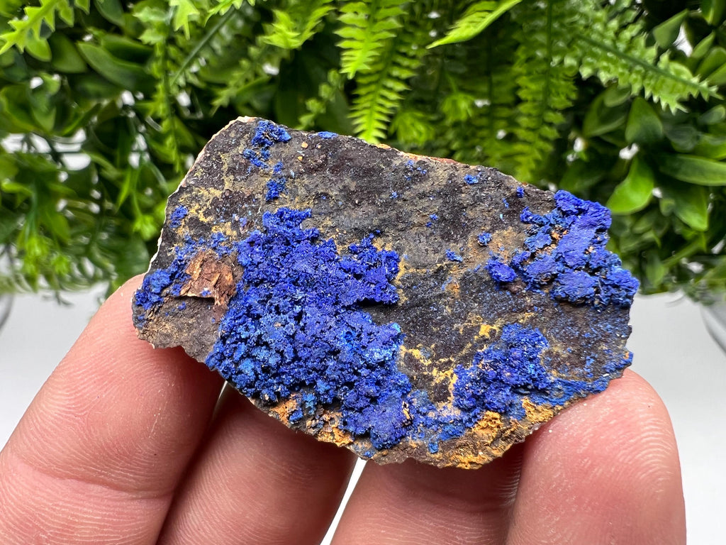 Moroccan Azurite & Malachite Mineral Specimen: Blue Crystal Decor