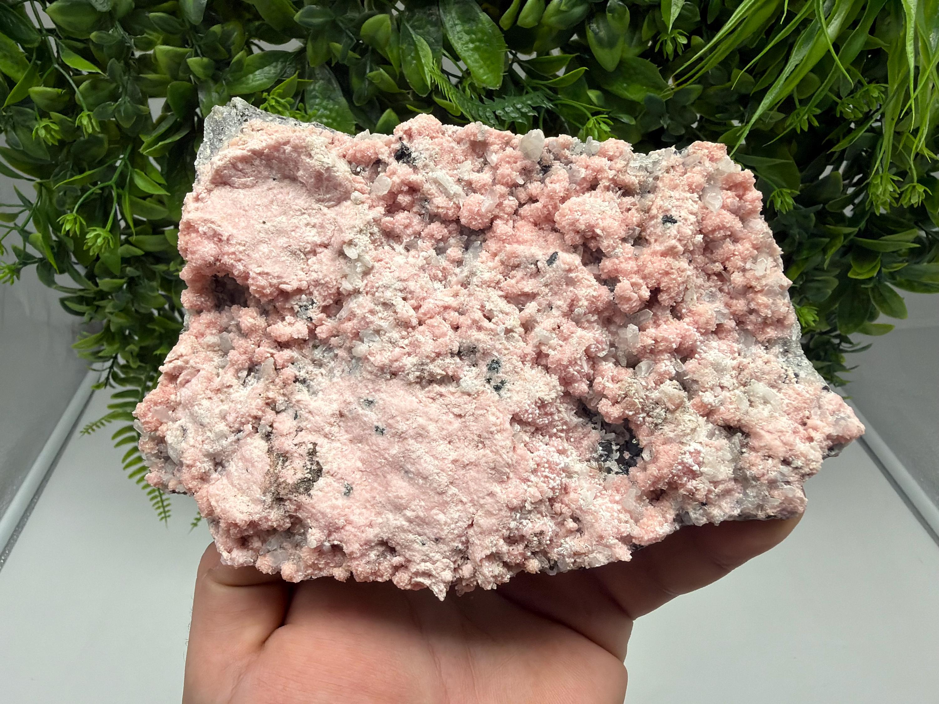 Pink Rhodochrosite Crystal, Starnica Mine, Bulgaria, Mineral Decor