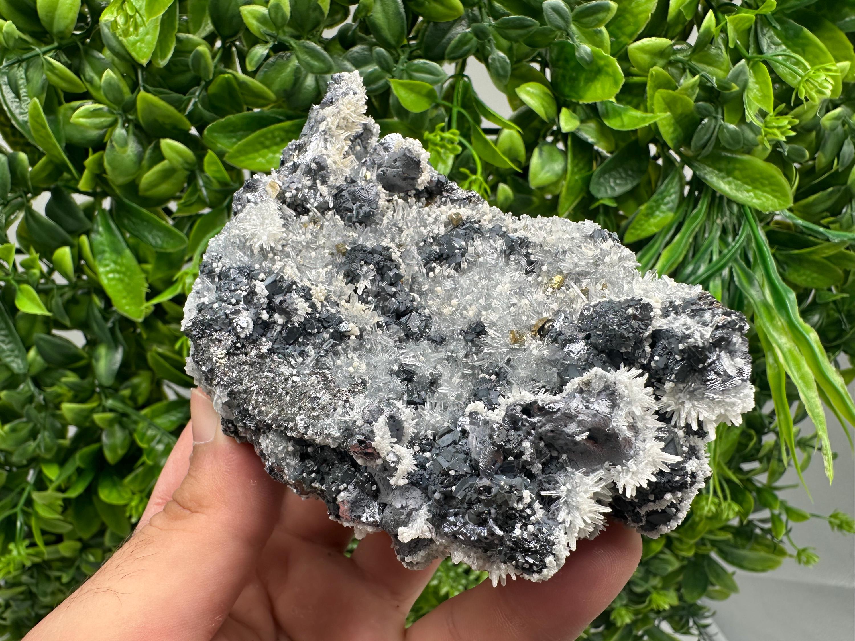 Galena Quartz Pyrite Mineral Specimen: Krushev Dol Mine, Bulgaria