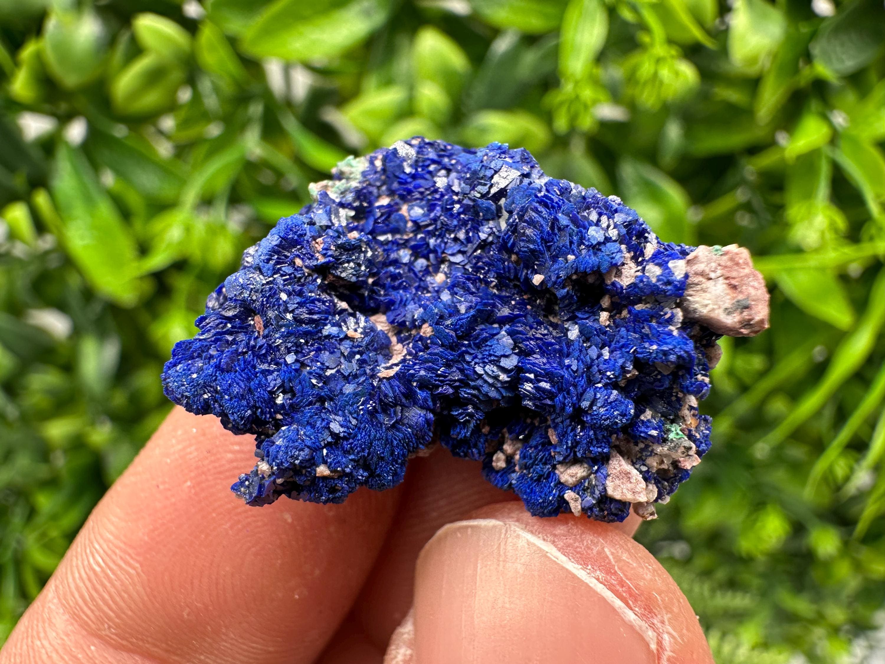 Crystallized Azurite-Kerrouchen,Morocco-Blue Azurite Specimen-High Quality Blue Azurite-Azurite Mineral Specimen, gemmy,lustrous of Azurite