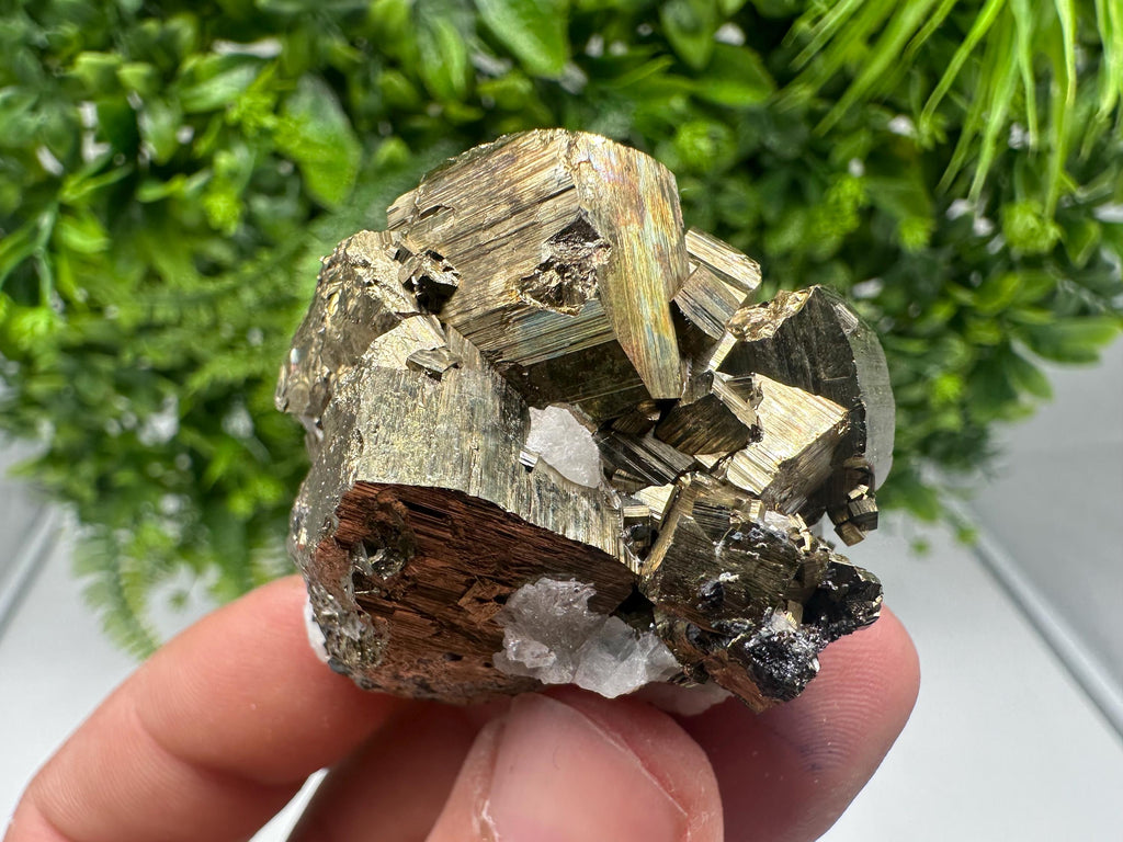 Rare Crystallization Pyrite, Borieva Mine, Bulgaria, Rainbow Golden Pyrite