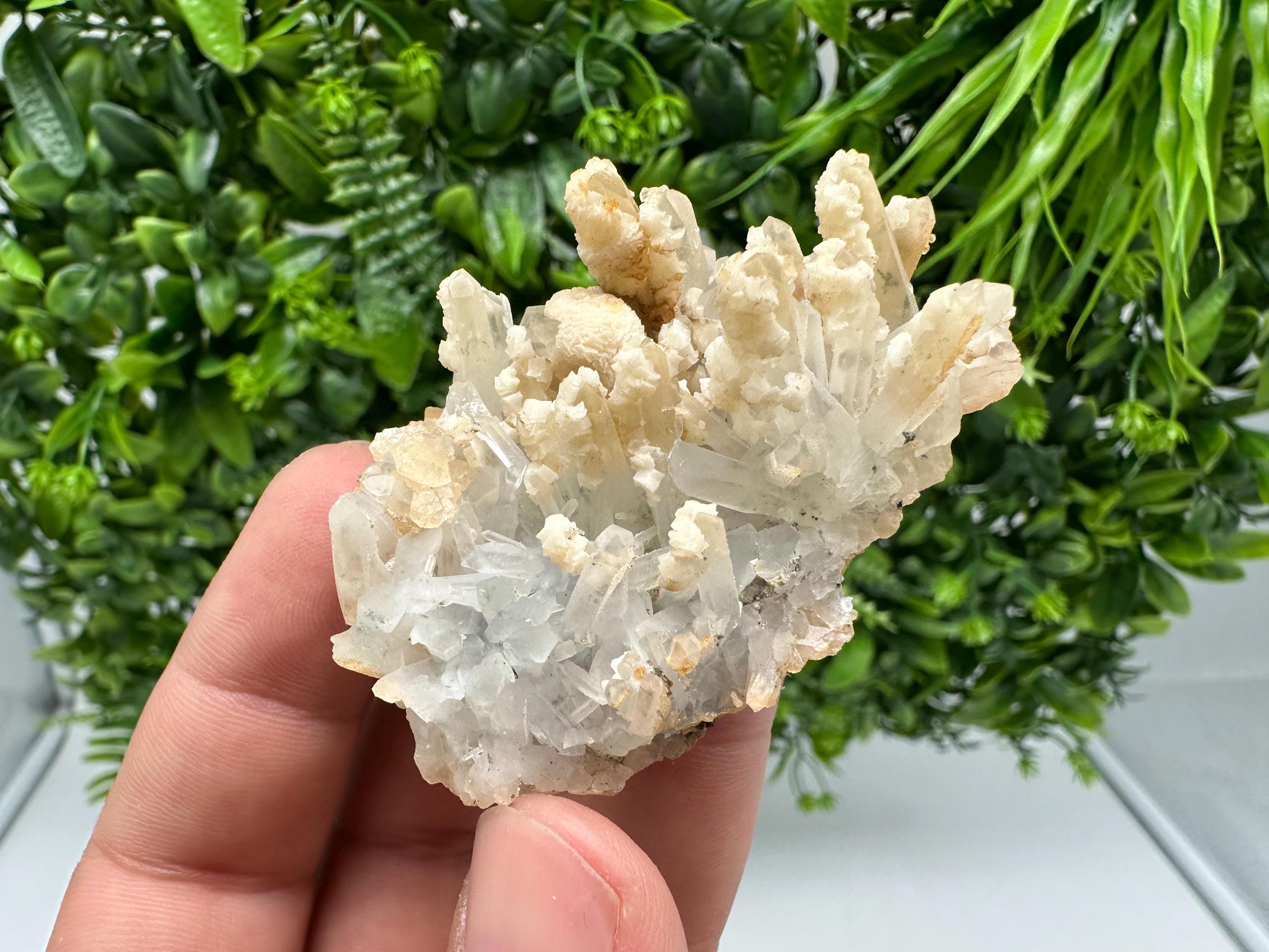 Calcite on Green Quartz: Djurcovo Mine, Bulgaria - Healing Crystal