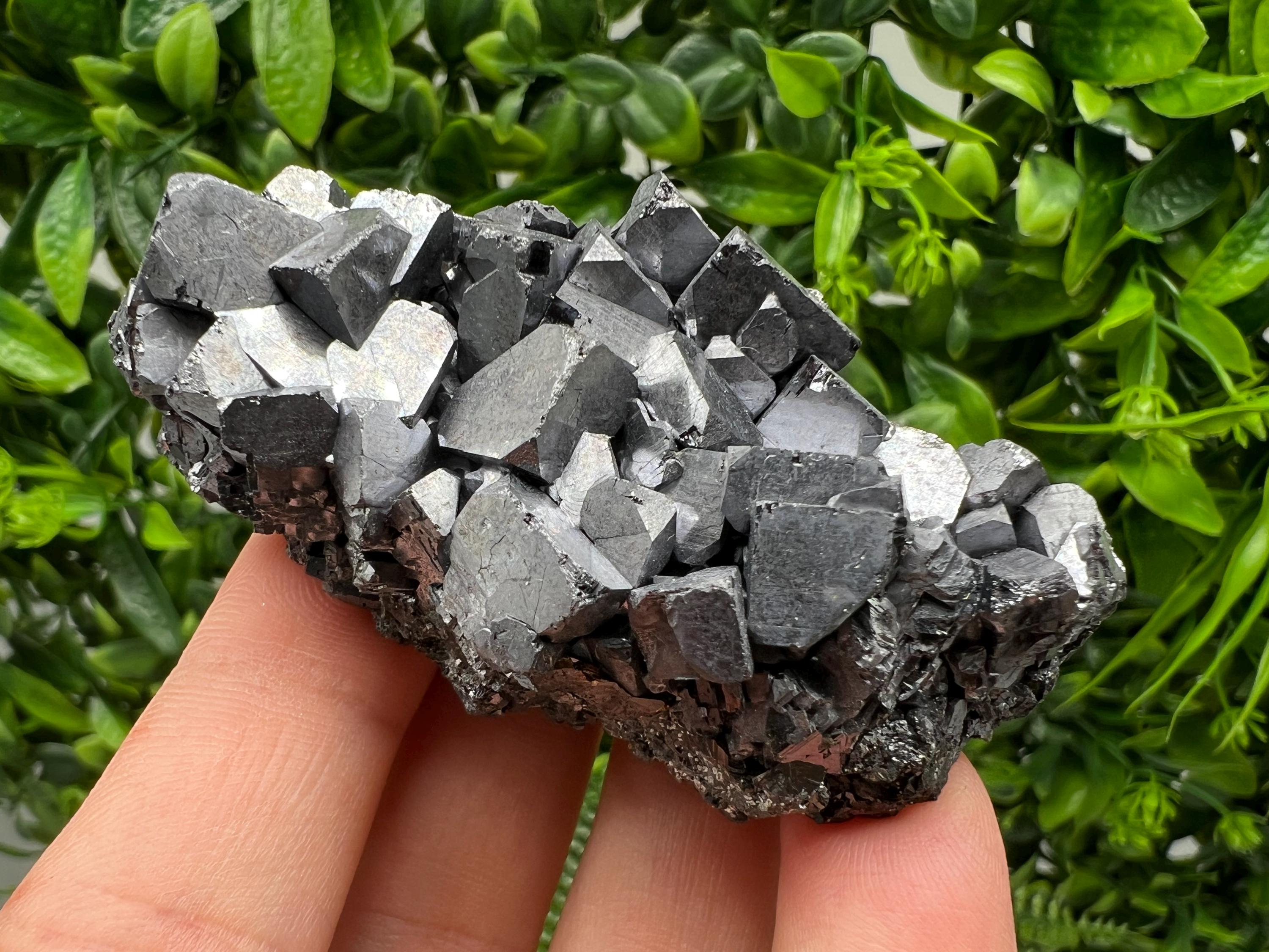Galena with Sphalerite Mineral Specimen, Borieva Mine, Bulgaria