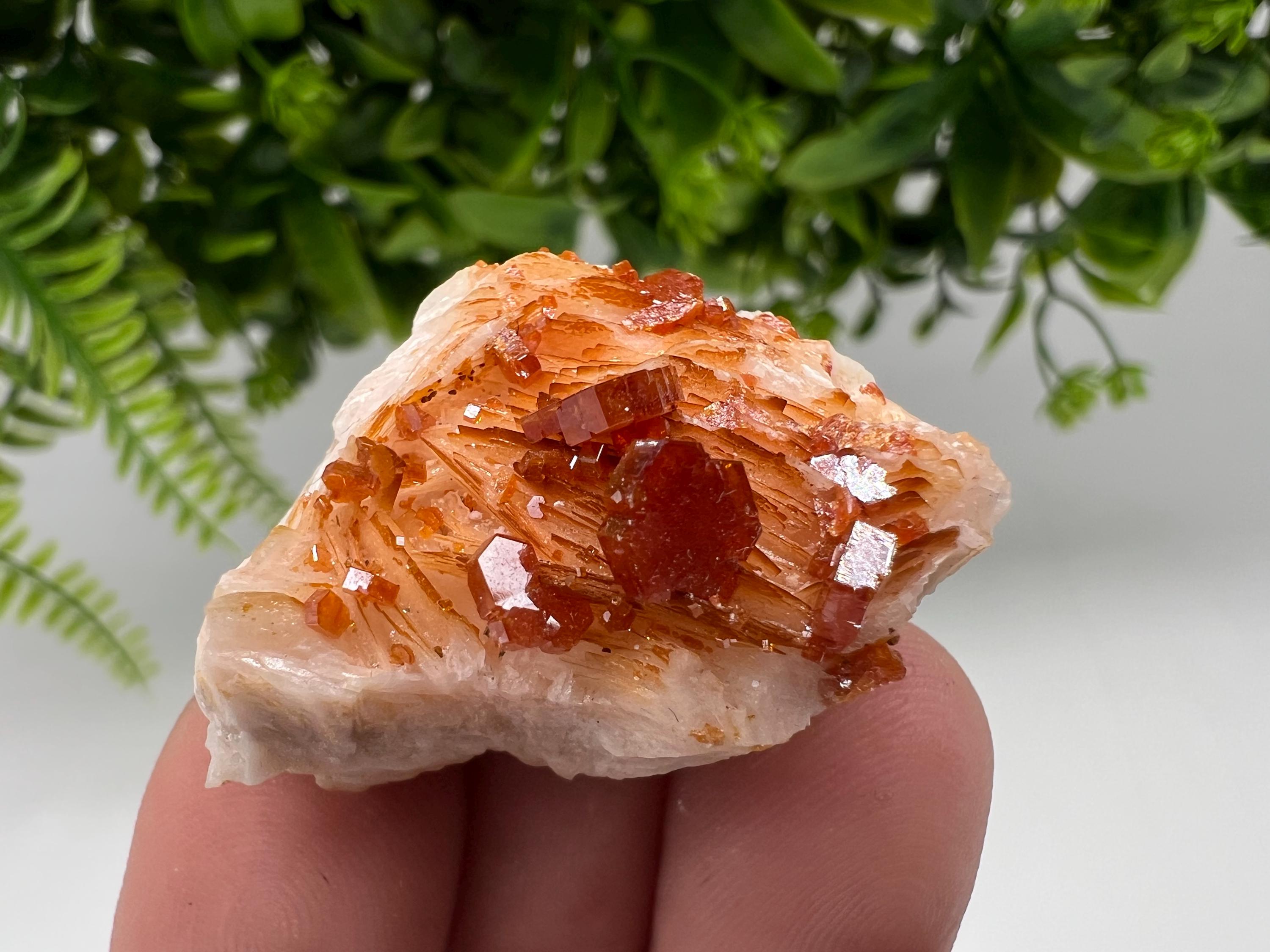 Red Vanadinite on Barite Specimen, Moroccan Crystal Mineral Cluster