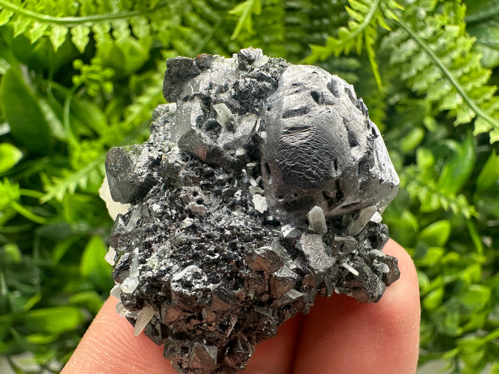 Mirror Galena, Calcite, Sphalerite on Quartz with Chlorite, Borieva Bulgaria