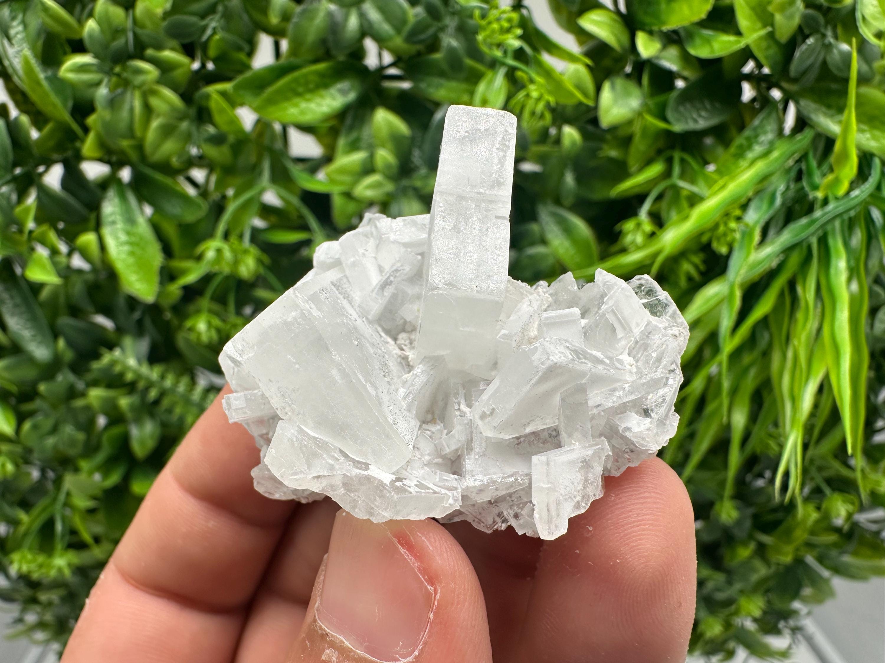 Barite Marcasite Chalcedony Cluster, Androvo Mine Bulgaria