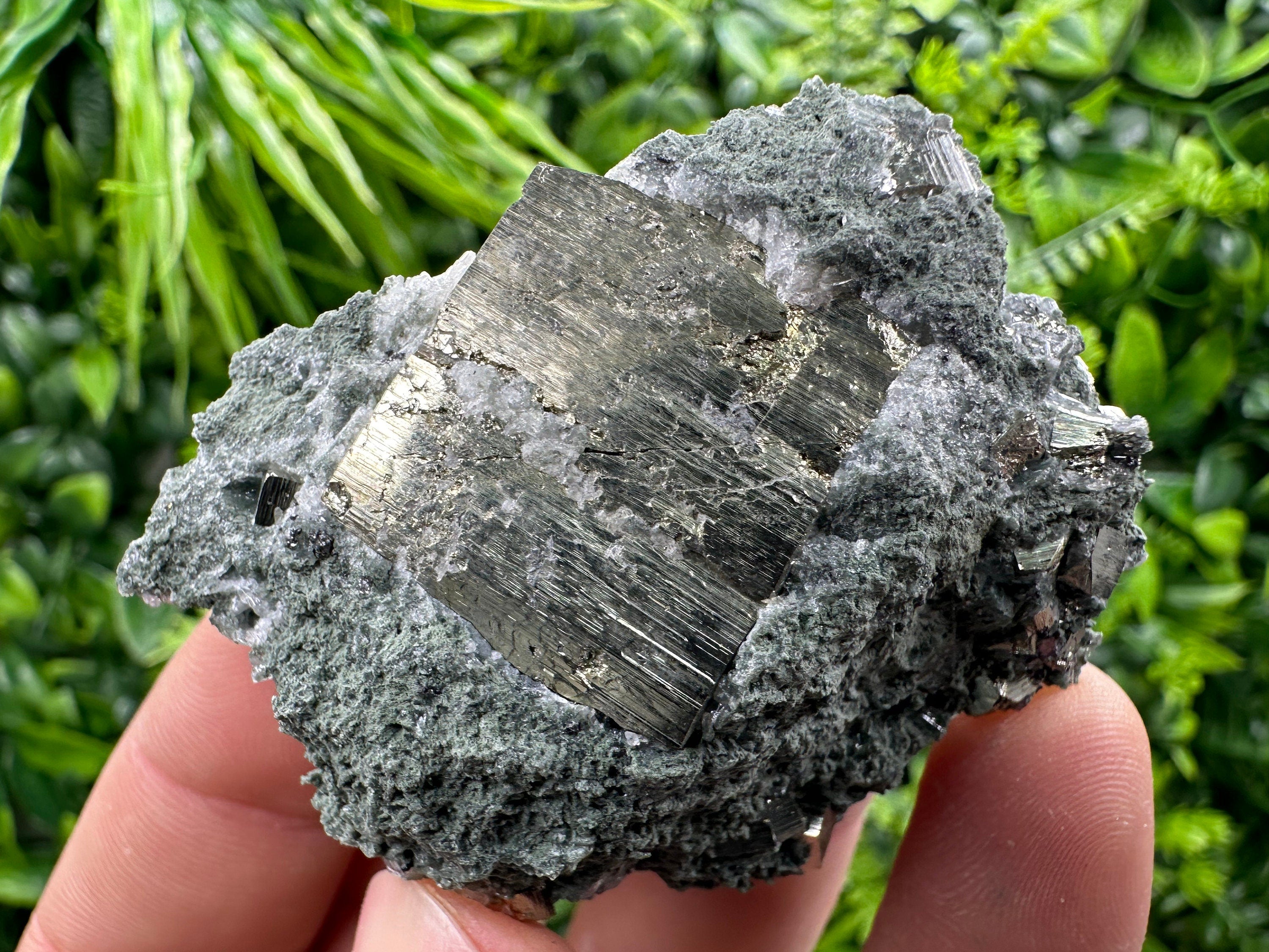 Pyrite with Chlorite: Natural Mineral Souvenir from Bulgaria