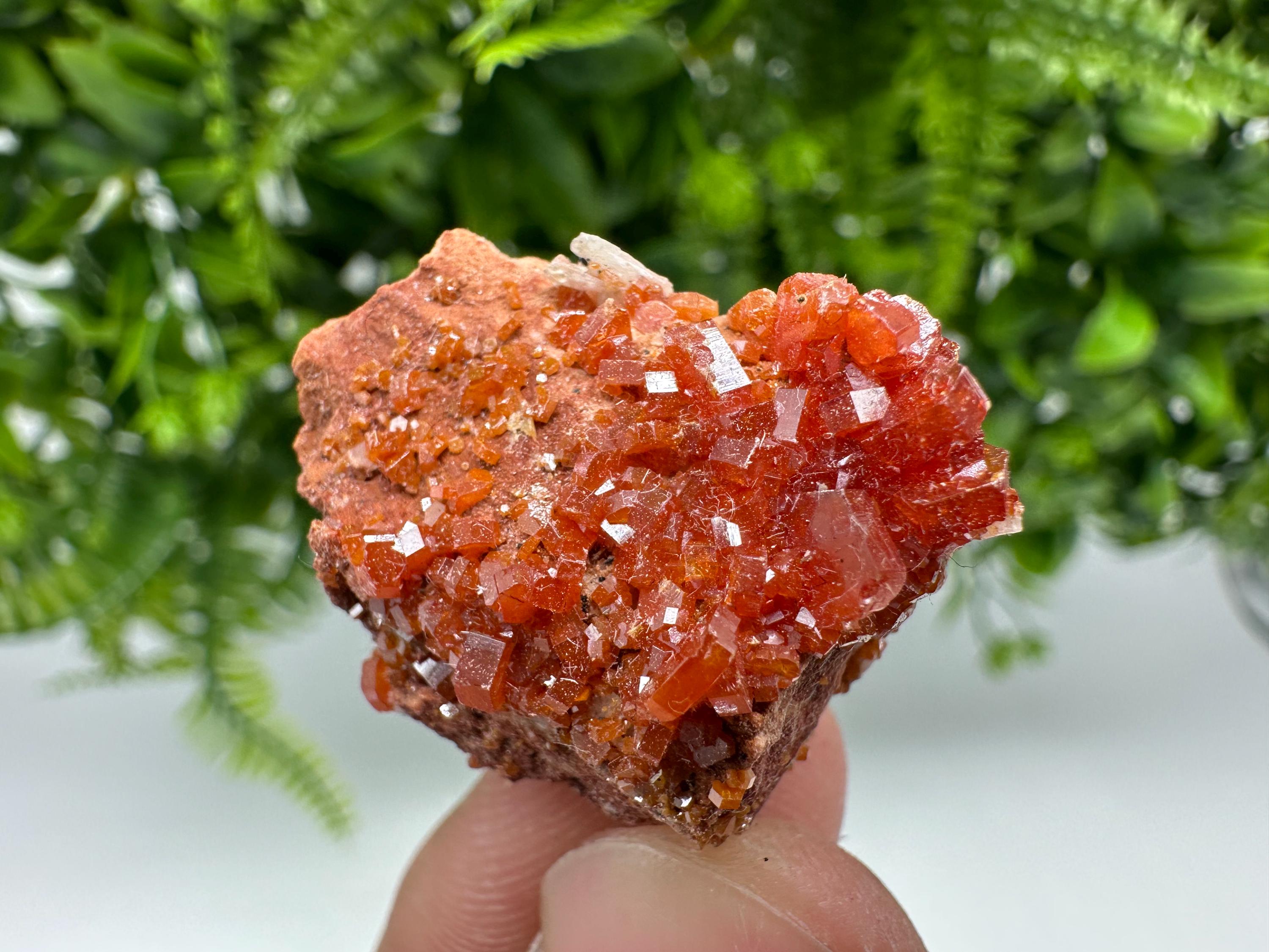 Red Vanadinite Crystal Cluster on Barite, Morocco Mineral Specimen